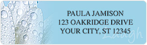 Inspirational Daisies Address Labels