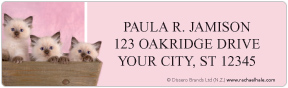 rachaelhale� Kittens Address Labels