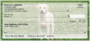 Labrador Retriever Checks