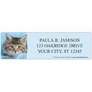 rachaelhale� Kittens Address Labels